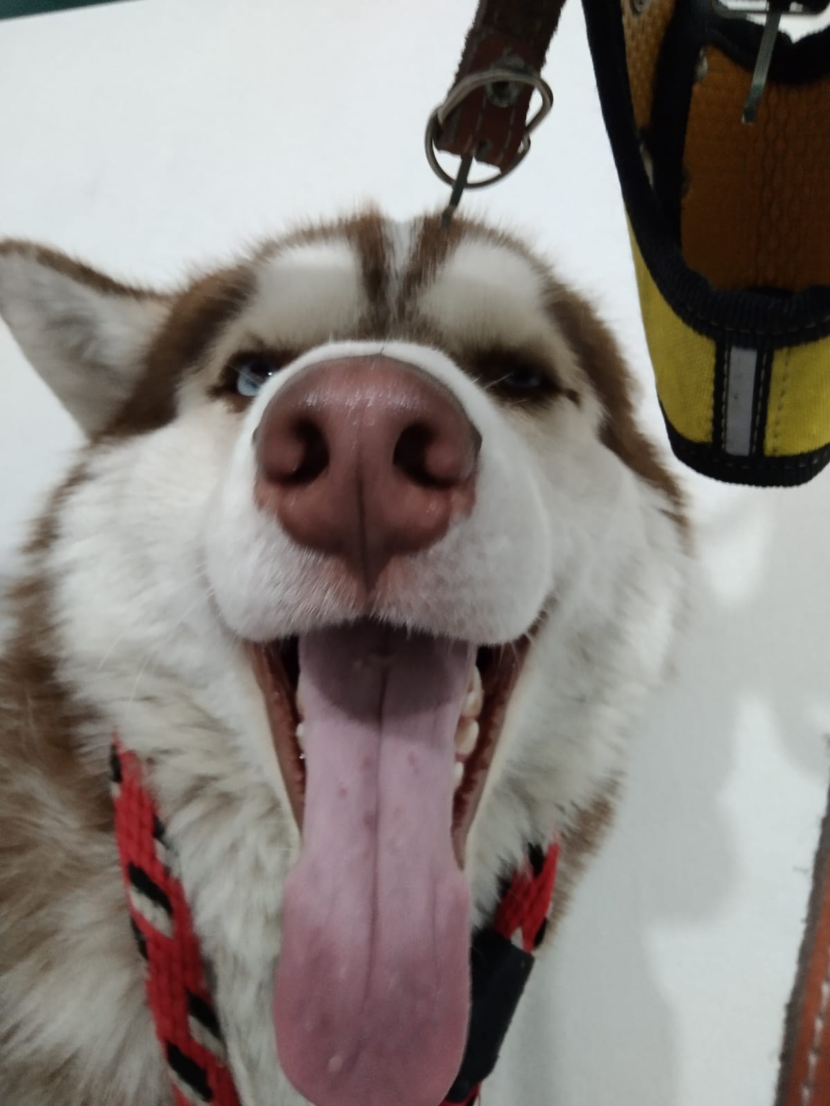 40310d05-bdd9-4200-bad1-79f2fd56411e