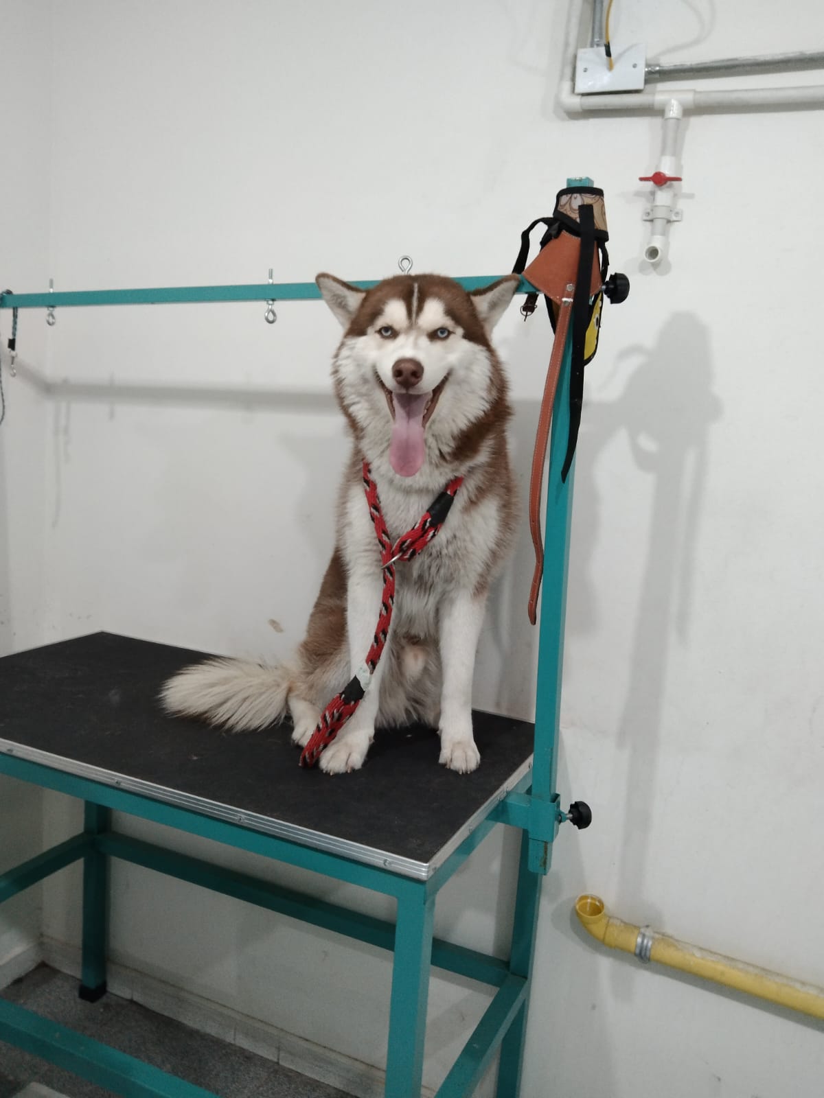 5b7b3f0d-e4ff-492c-a1b6-d5c6af8549e0