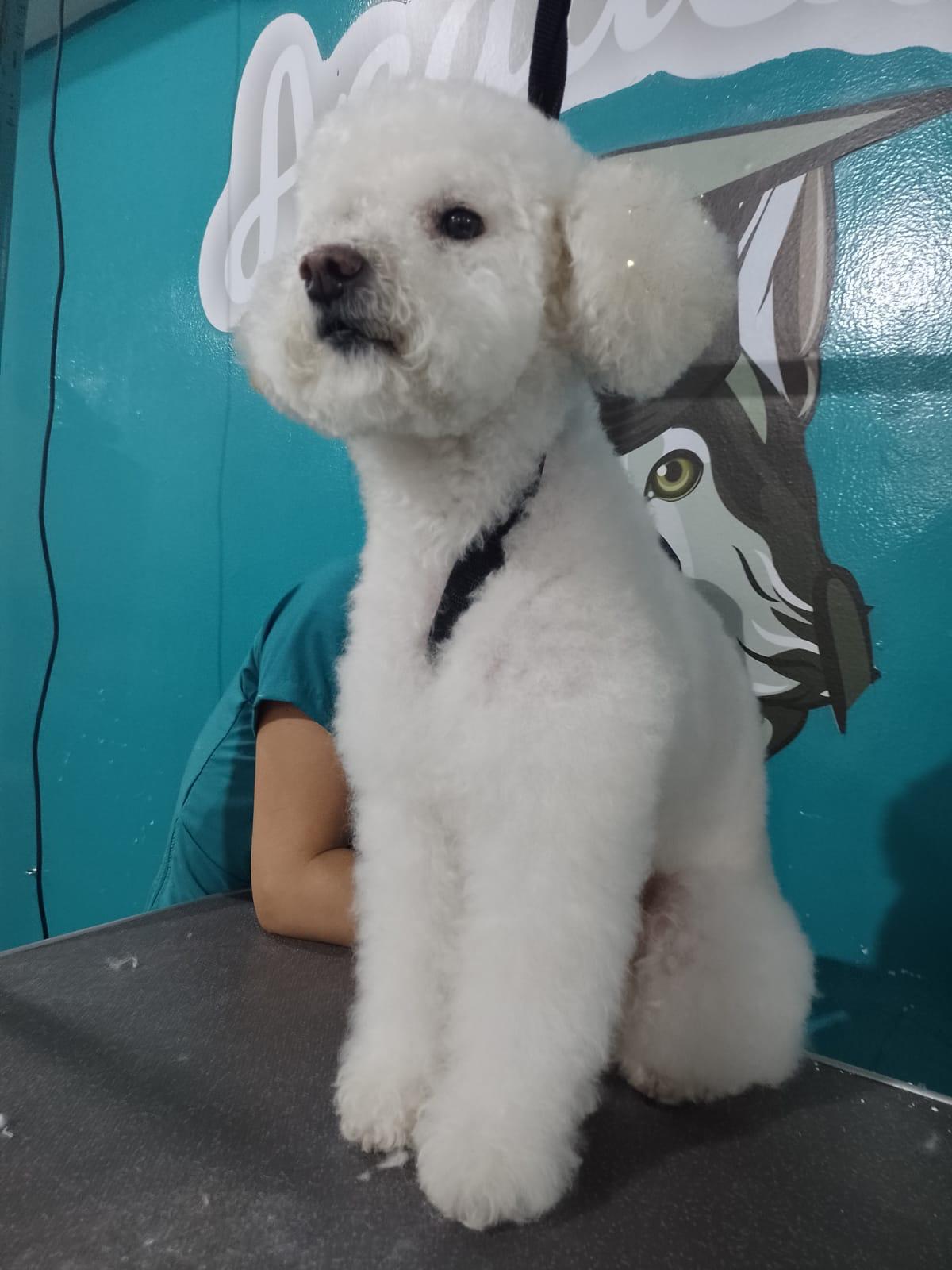 WhatsApp Image 2024-01-24 at 9.42.08 AM (1)