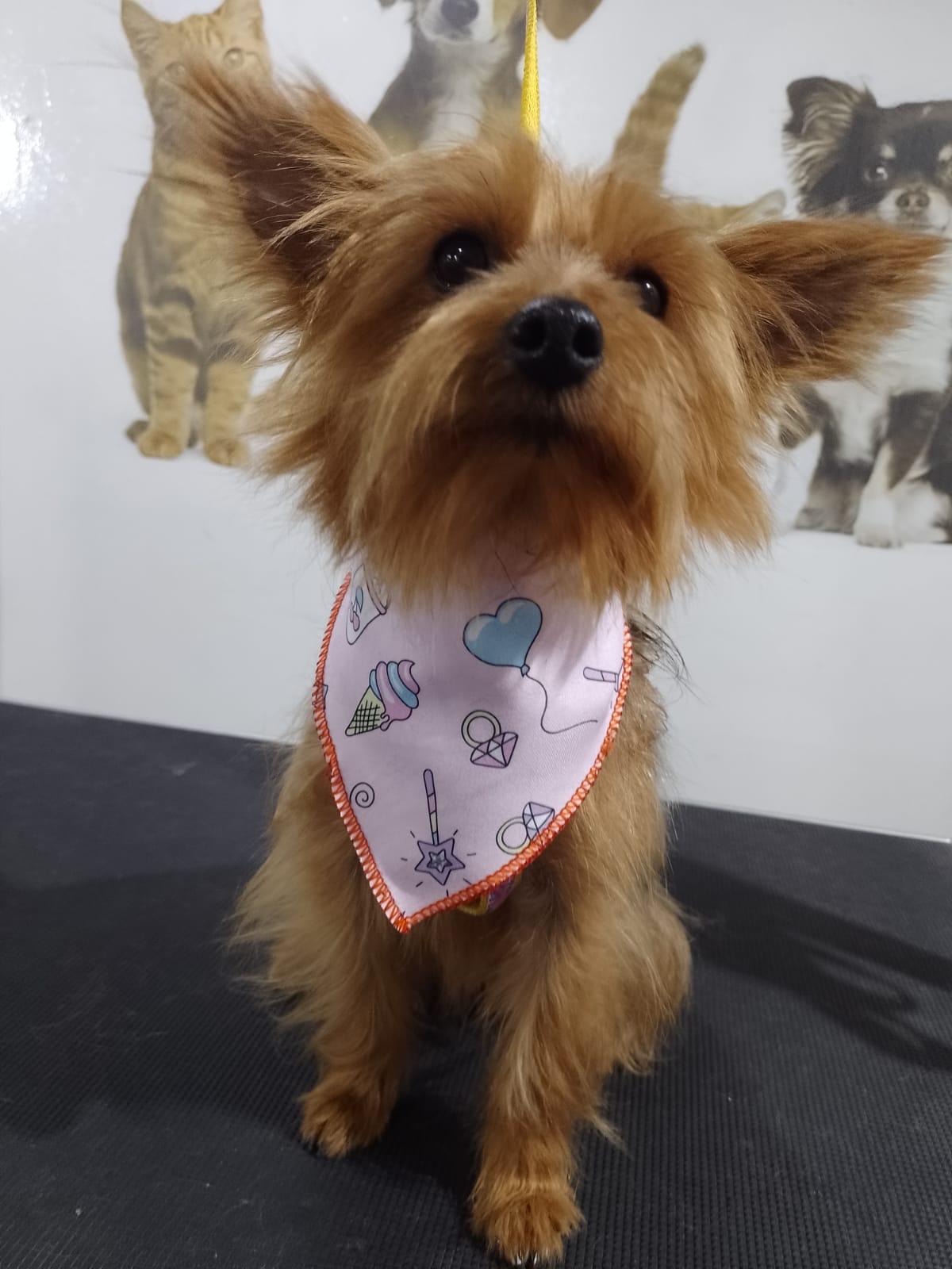 WhatsApp Image 2024-01-24 at 9.42.10 AM (1)